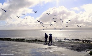A couple are surrounded by a flock of gulls in flight on West Kirby's Marine Lake on the Wirral.
