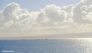 Tiny silhouettes of West Kirby walkers captured beneath a bright sky.
