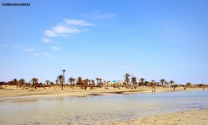A palm-studded view of Mehari Beach on the Tunisian island of Djerba.
