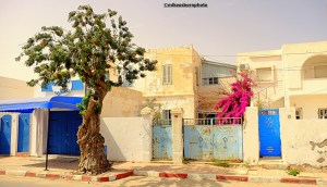 Houses on a street in the main town of Houmt Souk on Djerba, Tunisia.