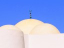 The white curves of a mosque in the Djerban town of Midoun, Tunisia.