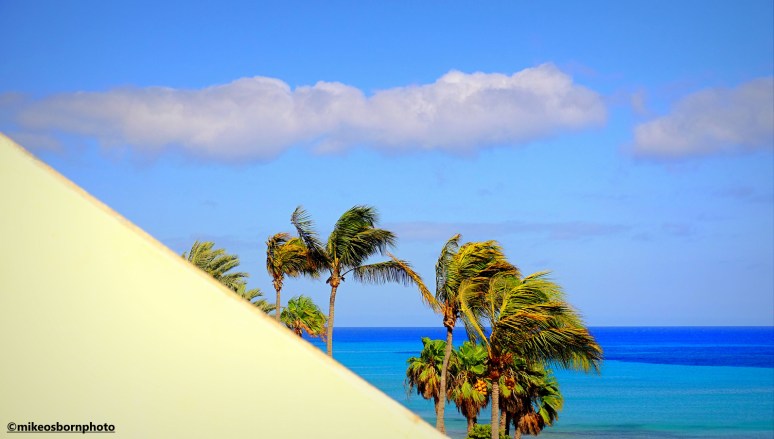 Palm trees, blue sky and sea seen beyond a hotel balcony in Costa Calma, Fuerteventura.