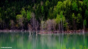 Forest trees reflecting in the blue waters of Lake Issyk in Kazakhstan.