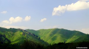 Two visitors enjoy the view of lush, sun-kissed hills in Kazakhstan.