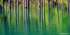 Reflections of submerged pine trees in the magical Kaindy Lake in Kazakhstan.