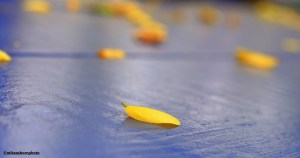 Yellowed autumn leaves on a pub garden table in Castlefield, Manchester, UK.